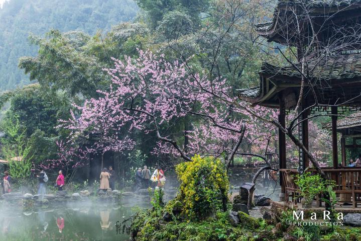 小猫钓鱼正版下载中文版