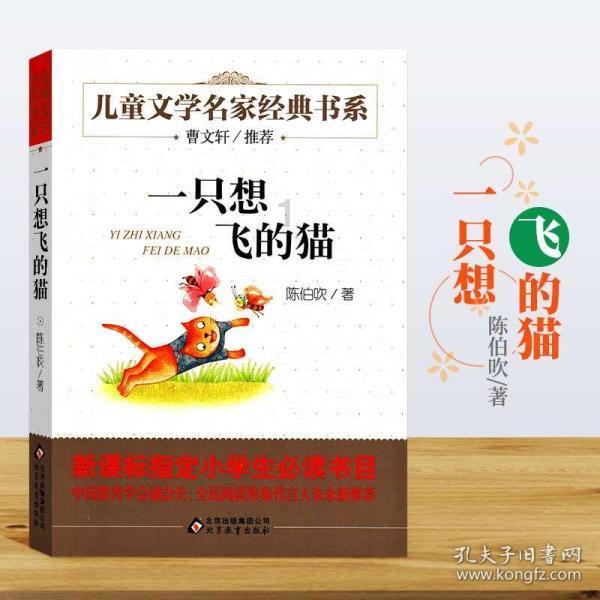 小猫钓鱼游戏龙王版有船